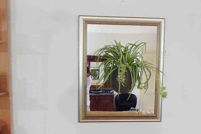 Herbadesign cvjetna ogledala