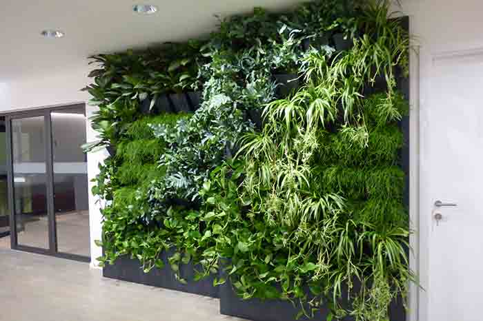 Indoor-vertical-garden-Herbadesign-with-automaticall-watering-system-in-Zagreb